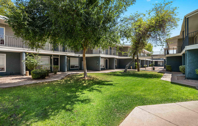 a courtyard with grass and trees between two apartment buildings