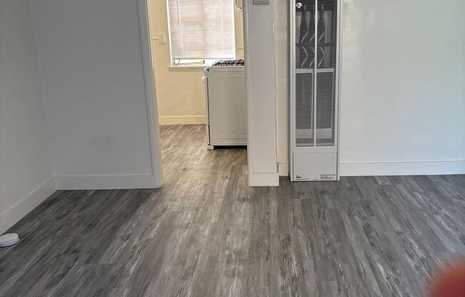 Studio, 1 bath, 300 sqft, $1,300, Unit 3249_1/4