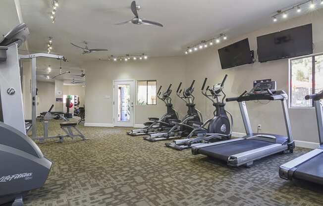 Gym filled with cardio equipment