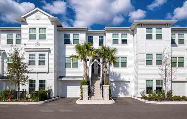 A white building with a palm tree in front.