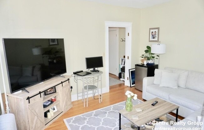 370 Chestnut Hill Ave Apt 34