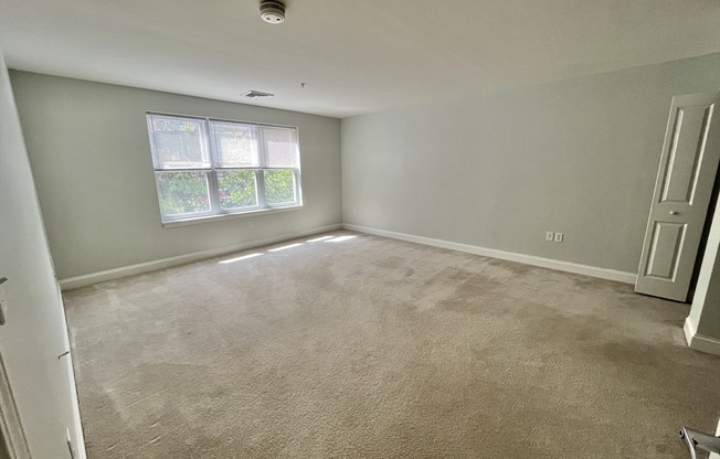 320 Rindge Ave
