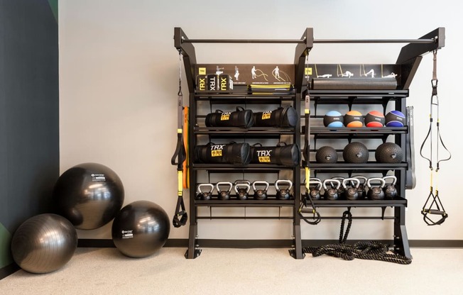 Fitness center with spheres and weights