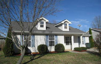 Excellent Move-In Special!  50% off Deposit and 50% off 1st full Month's rent