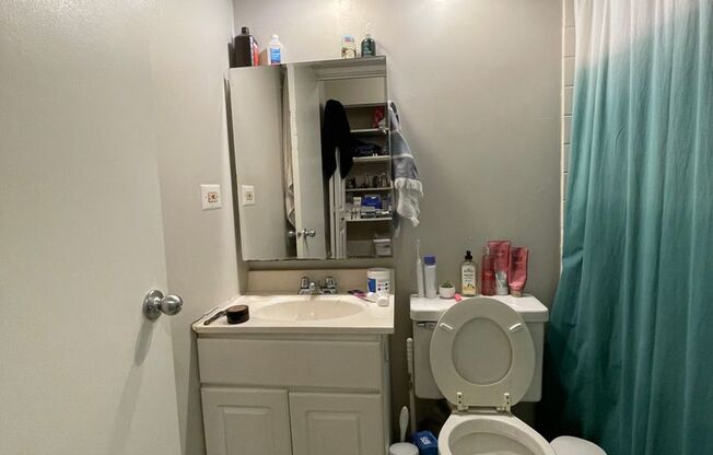 Studio, 1 bath, 400 sqft, $1,495, Unit 521-101