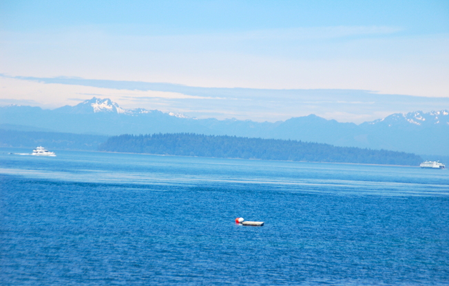 West Seattle Waterfront Condominium ~ West Beach Condominium