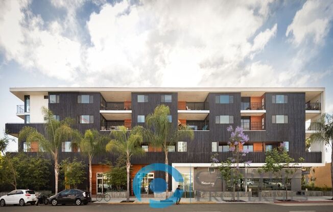 Studio, 1 bath, 510 sqft, $2,300, Unit 206