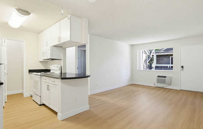 Kitchen and Living Area