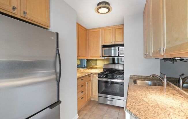 Incredible 1b1b in downtown Streeterville prime location