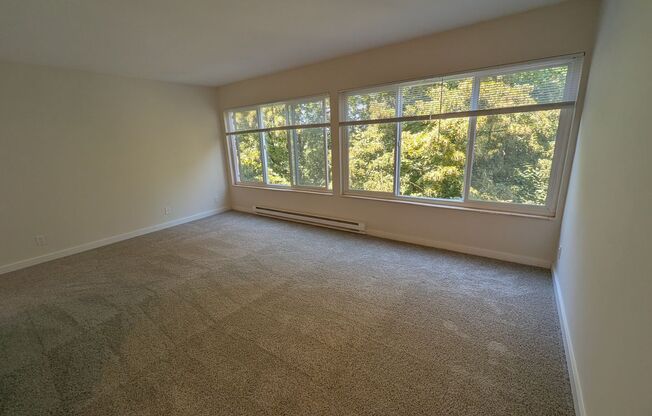 1 bed, 1 bath, 573 sqft, $1,745, Unit 307