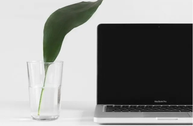 A laptop computer on a white backdrop next to a glass of water with a leaf in it. The computer screen is black.