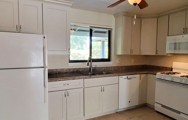 Cute Single Family Home, Newer kitchen, New Bathroom, Fresh Paint, Vaulted Ceilings, Large Yard!