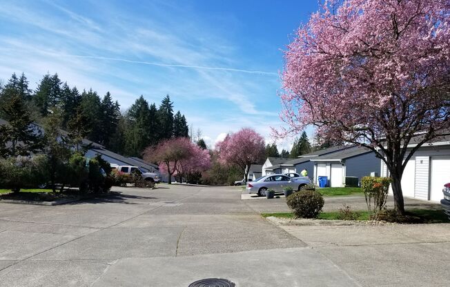 2 beds, 2 baths, 1,240 sqft, $1,940, Unit B6