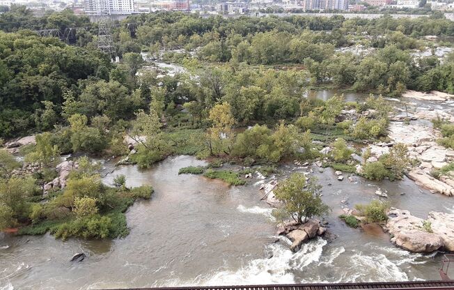 1 bed, 1 bath, $1,600