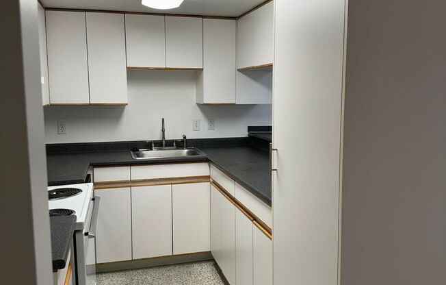 1 bed, 1 bath, 491 sqft, $1,250, Unit 604