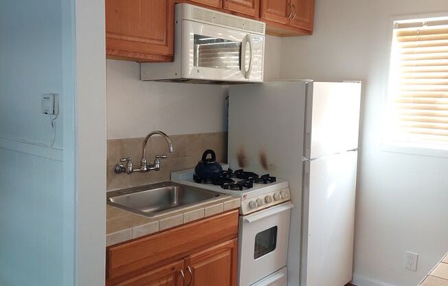 Studio, 1 bath, 287 sqft, $1,250, Unit Unit 02