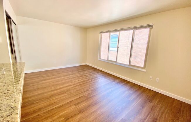 Studio, 1 bath, 308 sqft, $1,395, Unit 404