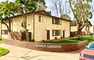 237 - VIP Future, LP (Orange Gardens)