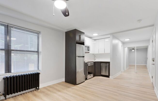 Studio, 1 bath, 250 sqft, $1,450, Unit 2D