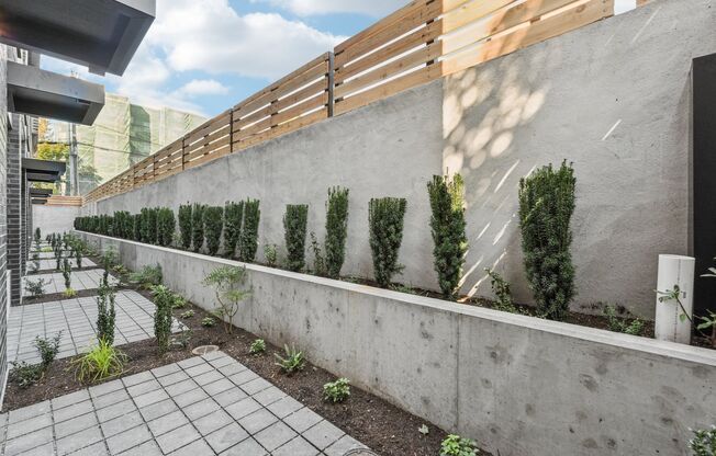 Studio, 1 bath, 289 sqft, $1,500, Unit 109