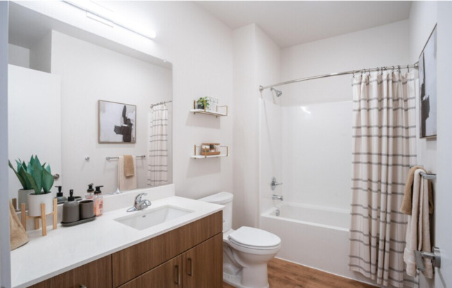 Studio, 1 bath, 409 sqft, $1,250, Unit 214
