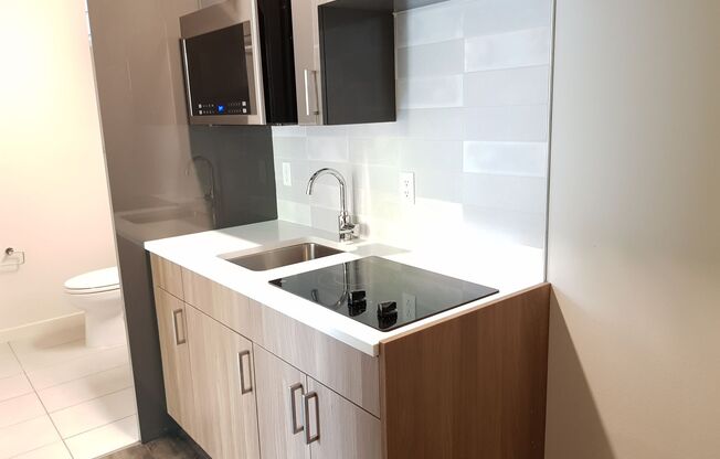 Studio, 1 bath, 244 sqft, $1,187, Unit 208