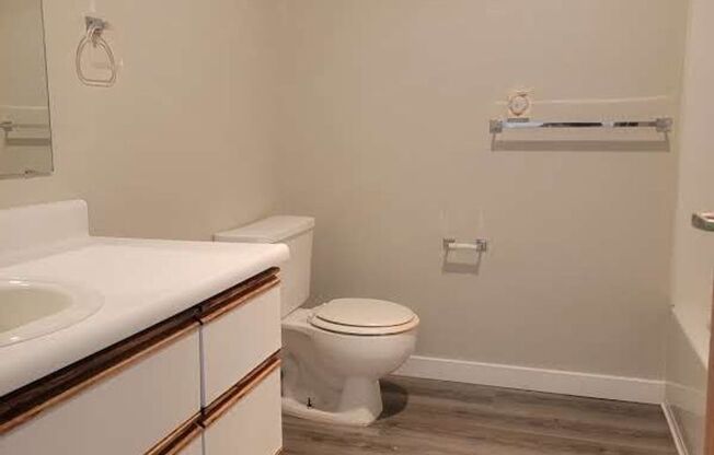 Studio, 1 bath, 441 sqft, $1,285, Unit 310