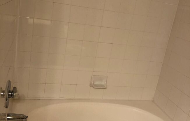 1 bed, 1 bath, 732 sqft, $1,199, Unit 09305