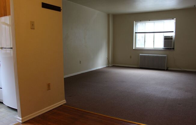 Studio, 1 bath, 410 sqft, $1,110