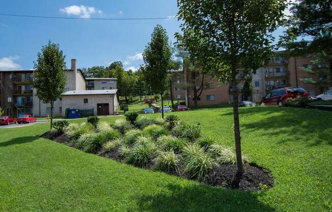 Del Vista Apartments Landscaping 20