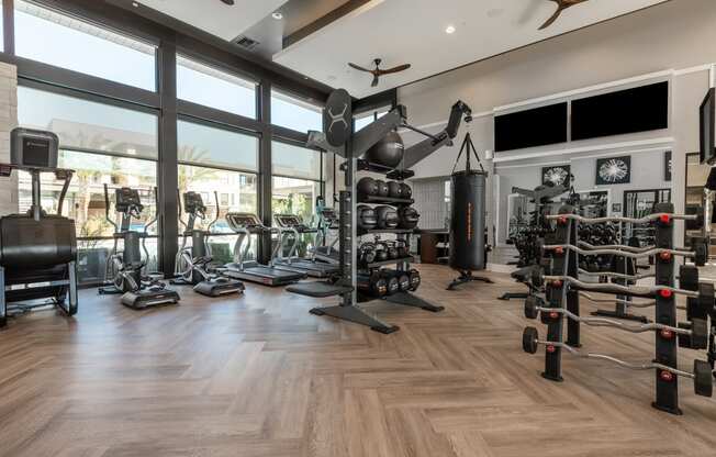 a gym with weights and cardio equipment and large windows