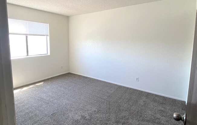 A room with a carpeted floor and a window letting in sunlight.