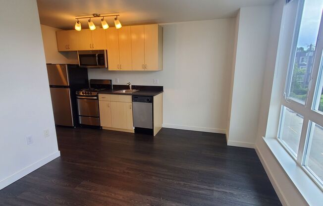 Studio, 1 bath, 248 sqft, $1,495, Unit 302