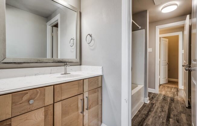 a bathroom with a sink and a mirror
