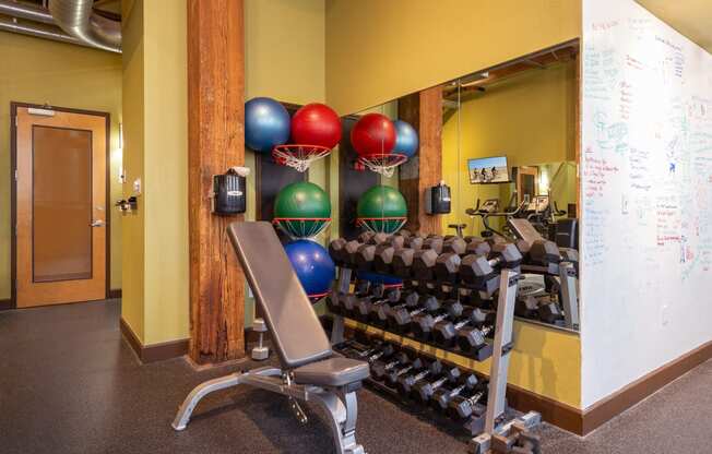 a gym with a row of weights and a rack of balls