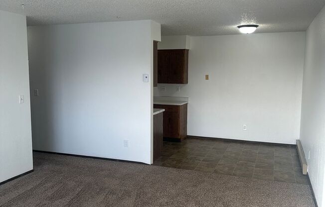 1 bed, 1 bath, $695, Unit 304