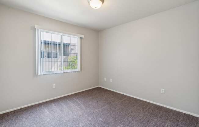 an empty room with carpet and a window