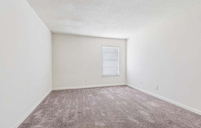 A room with a carpeted floor and a window with blinds.