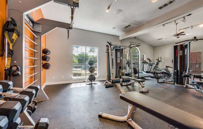 the gym has plenty of weights and cardio equipment and a large window