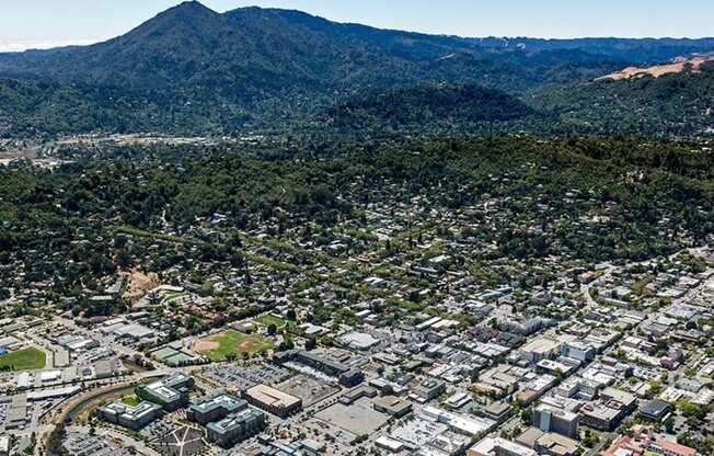 Views of Mt. Tamalpais in specific apartments