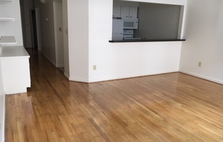 1 bed, 1 bath, 695 sqft, $1,575, Unit Apartment 3