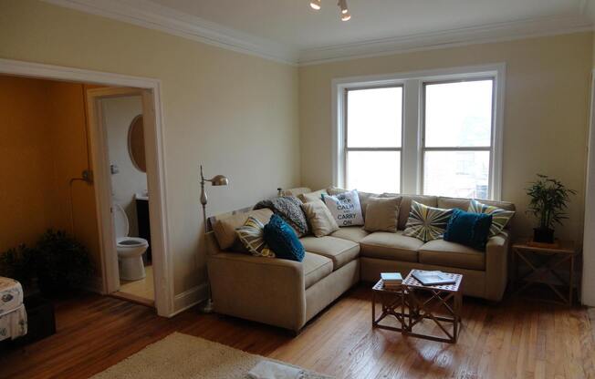 Studio, 1 bath, 450 sqft, $1,500, Unit 207