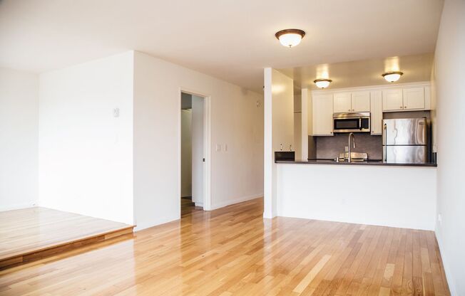 Studio, 1 bath, 481 sqft, $2,400, Unit 205