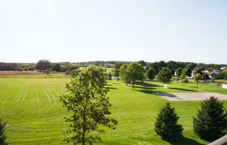 Woodland Fields