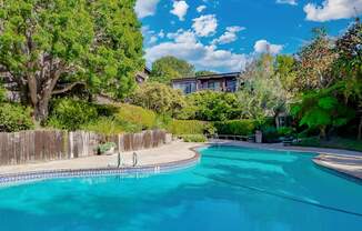 A swimming pool surrounded by a wooden fence and trees at Mariners Village, Marina del Rey, 90292