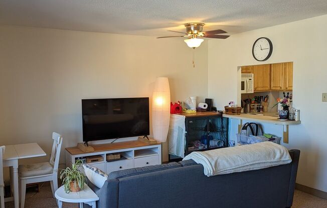 Studio, 1 bath, 431 sqft, $2,600, Unit 1503