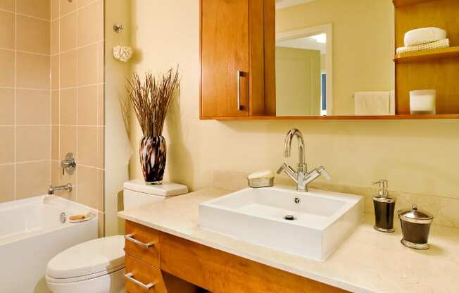 a bathroom with a sink and a toilet and a tub