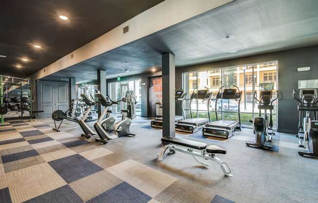 Harmony Luxury Gym Apartment near Dallas Fort Worth