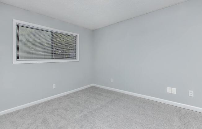 1 bed, 1 bath, 800 sqft, $1,250