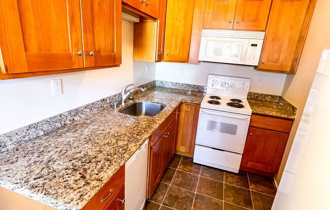 Studio, 1 bath, 454 sqft, $1,545, Unit 108